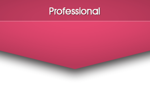 Buy Professional Edition
